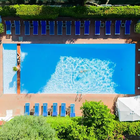 Wellness סורנטו