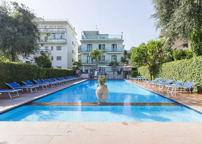 Wellness סורנטו