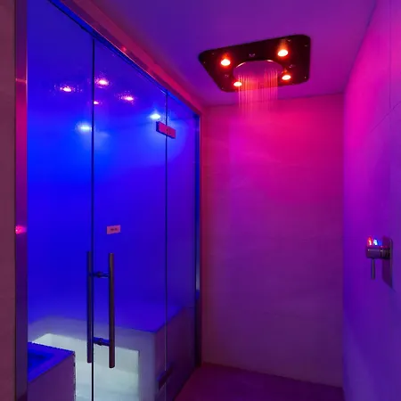 Wellness 4*